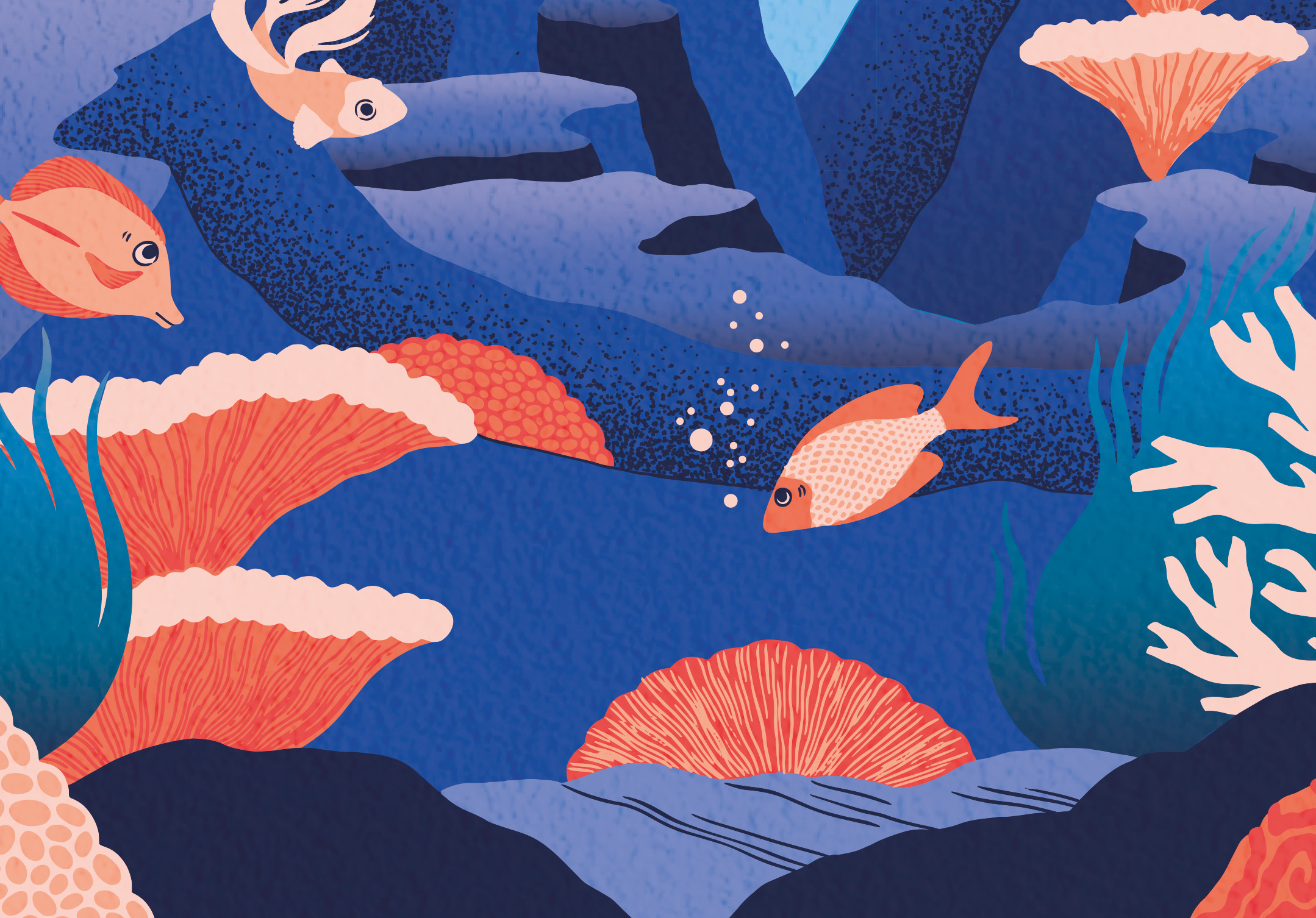 Jazz migration 3